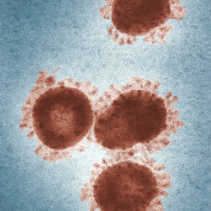 Coronavirus Gebäudereinigung Kruppa, Desinfektion, reinigen, Büro und Praxisreinigung